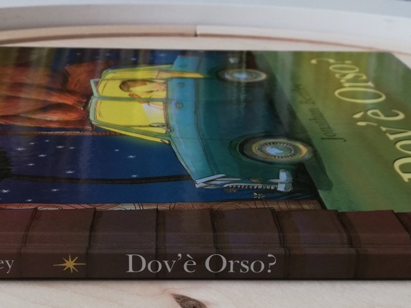 L’orso che non si trova…ma quale&nbsp;orso?